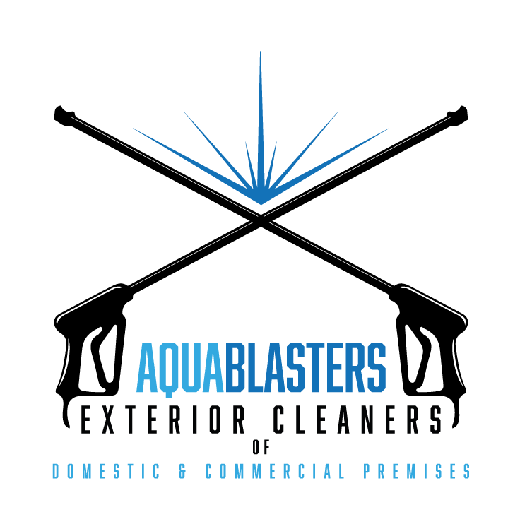 aqua blasters logo