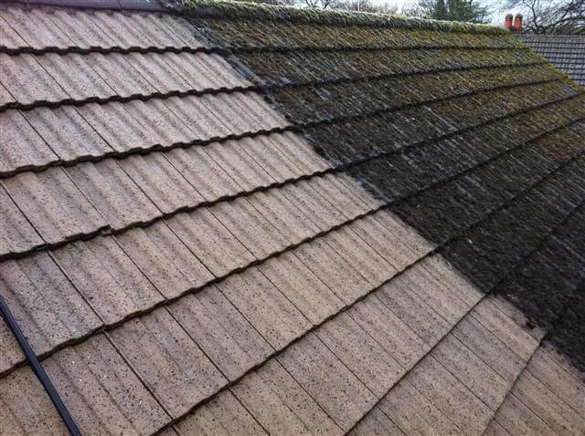 roof cleaning