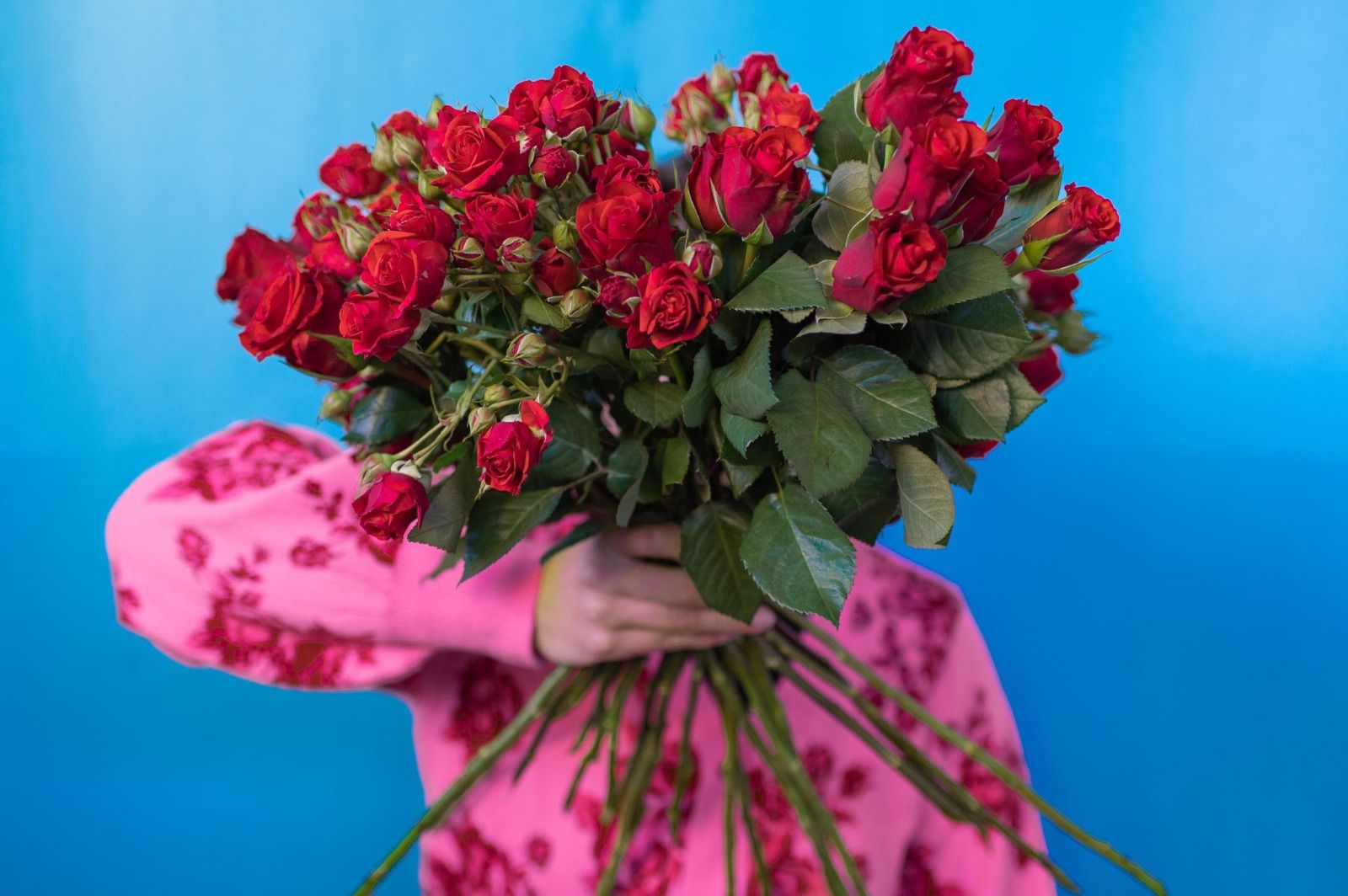 una donna in un maglione rosa tiene in mano un mazzo di rose rosse .