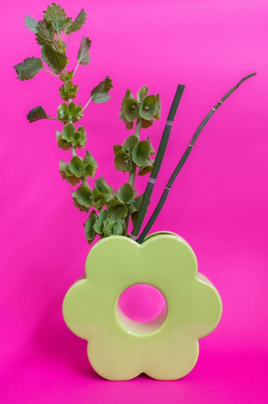 un vaso verde con fiori e foglie su sfondo rosa .