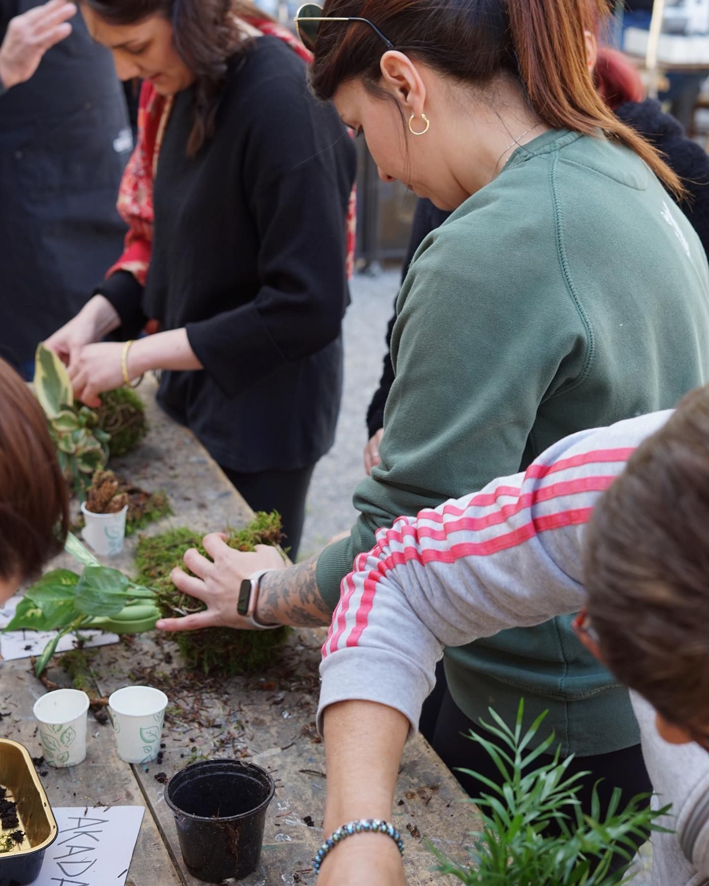 un gruppo di persone è seduto attorno a un tavolo con piante in vaso .