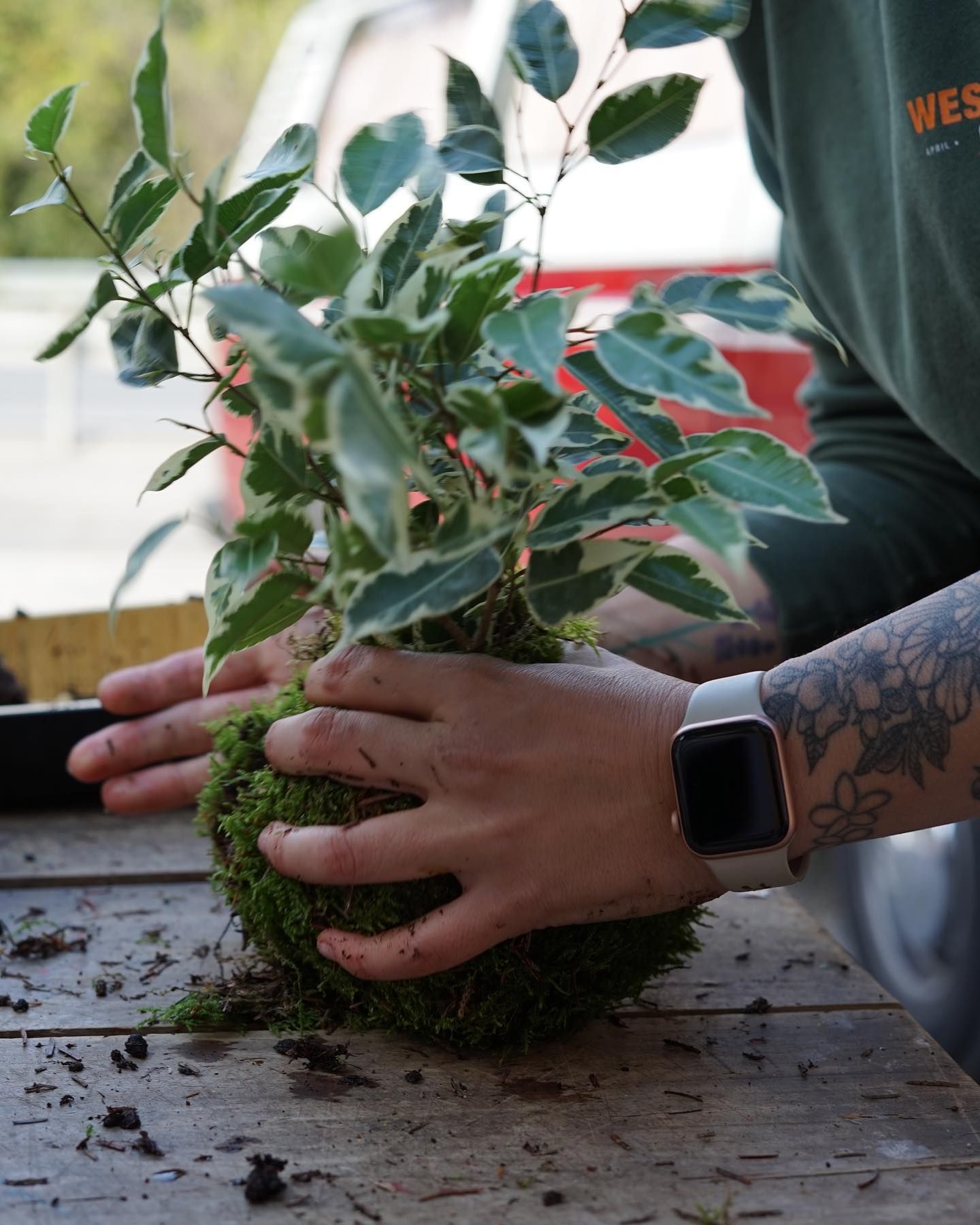 un uomo tiene in mano una pianta su un tavolo di legno .