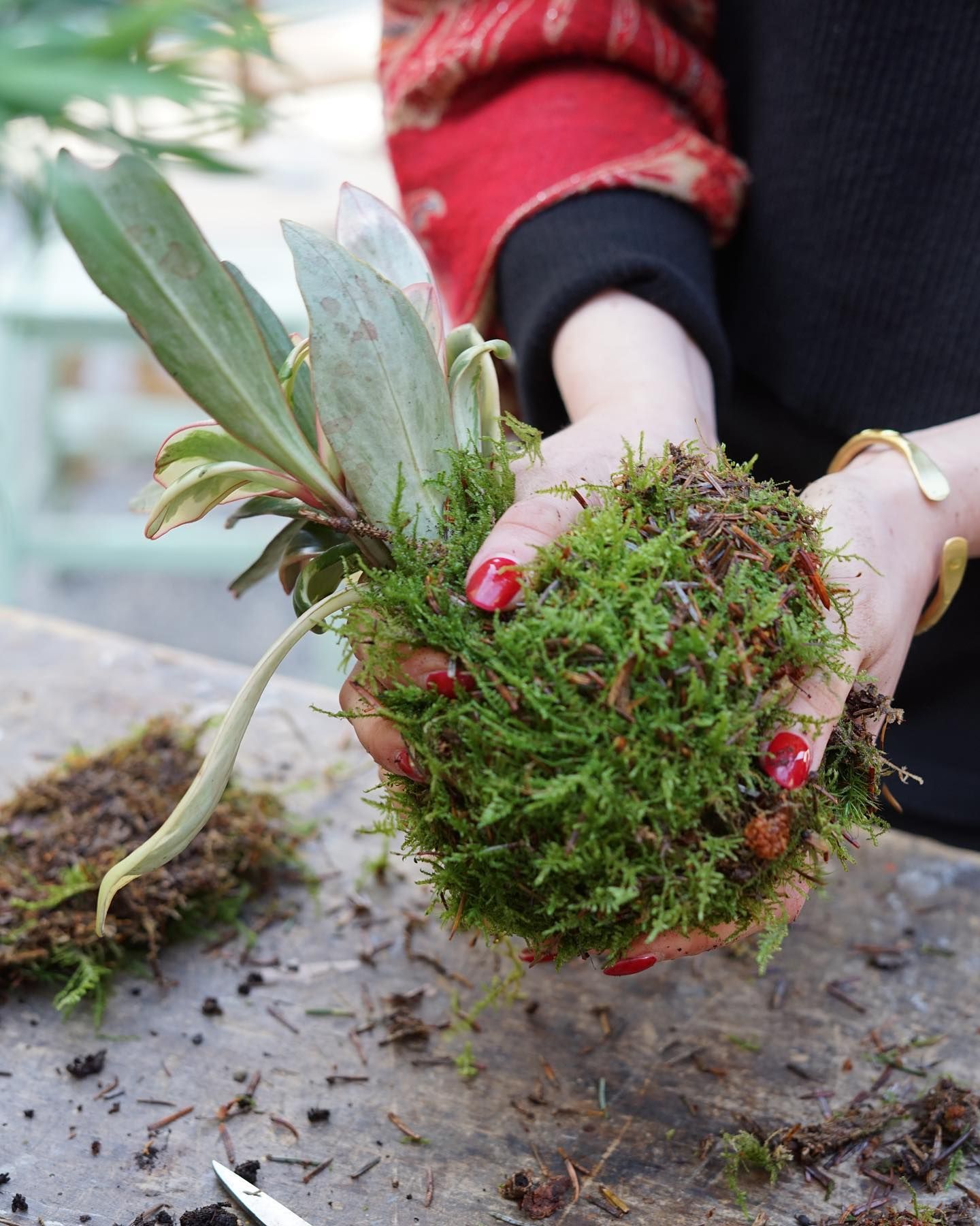 una donna tiene in mano un mucchio di muschio .
