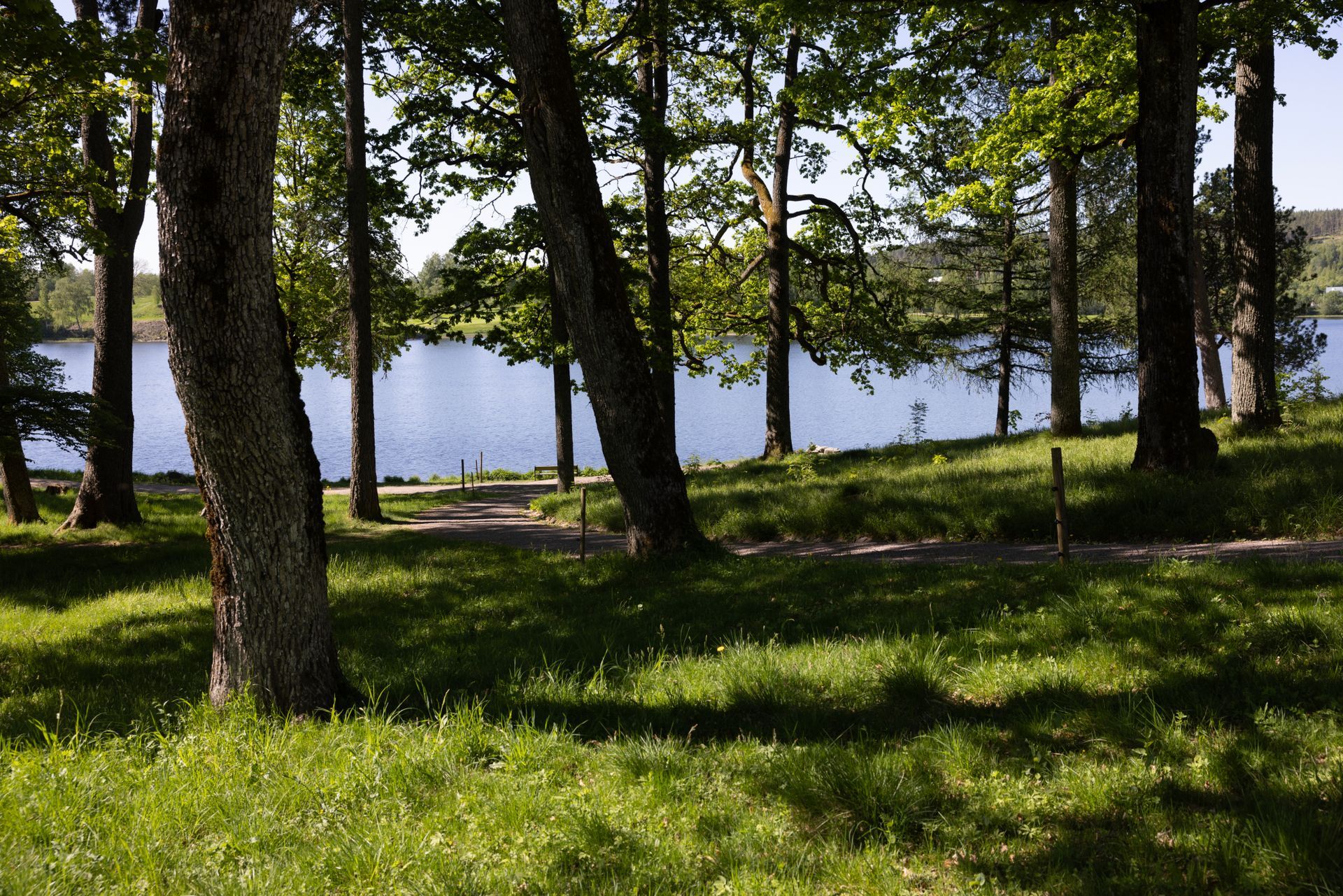 En sti slynger seg gjennom en gresskledd, solfylt lund av trær mot en rolig, blå innsjø under en klar himmel.