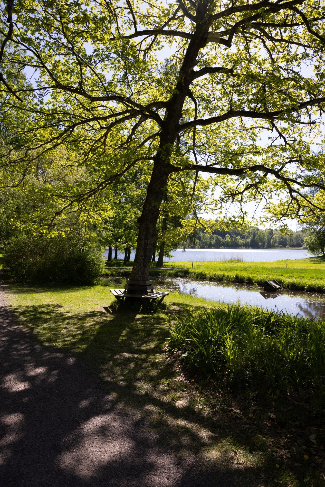 Landskapsparken på Bogstad Gård. Perfekt til bryllupsfotografering