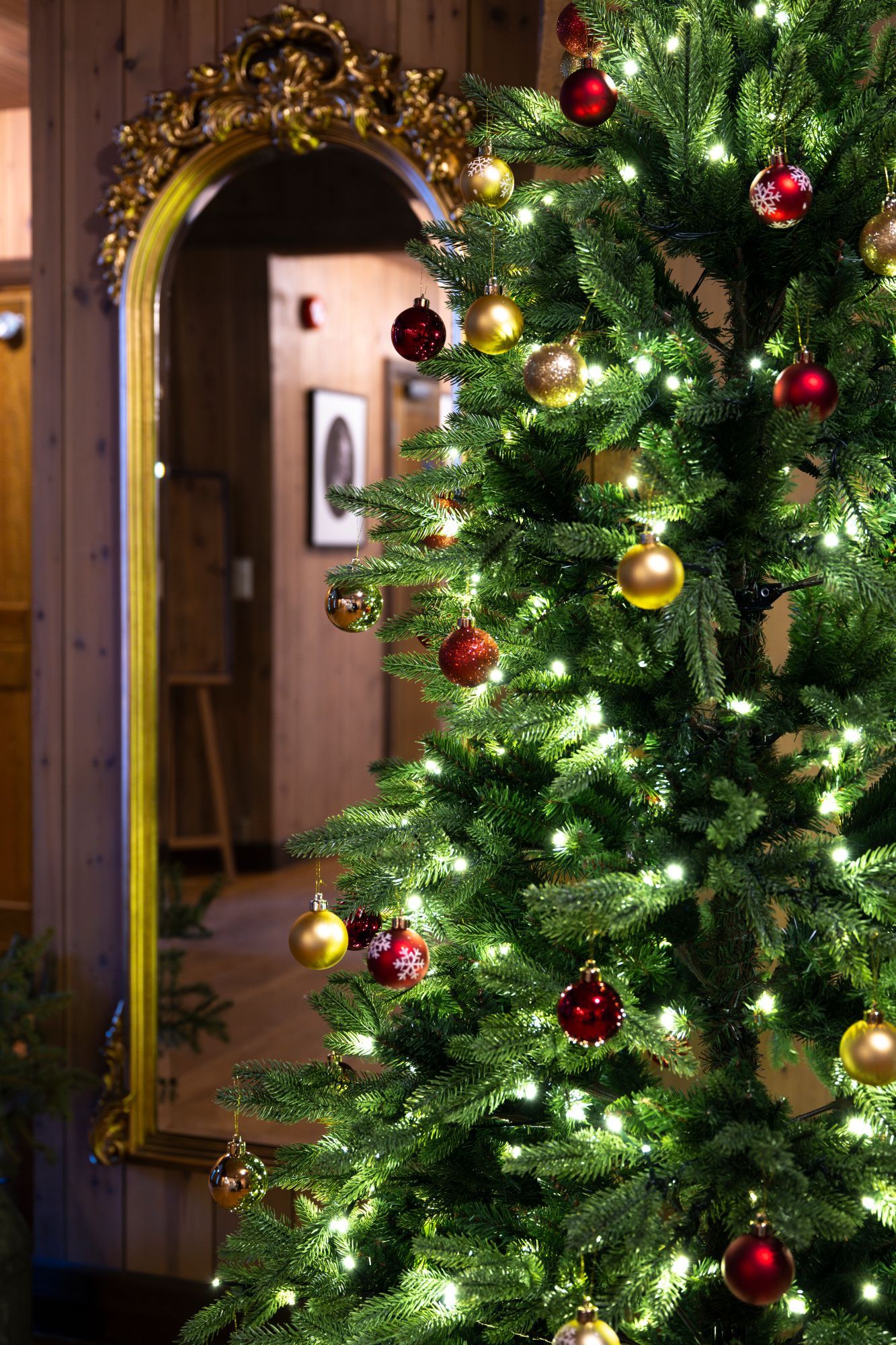 Juletre dekorert med røde og gullfargede ornamenter, som speiler seg i et gullinnrammet speil.