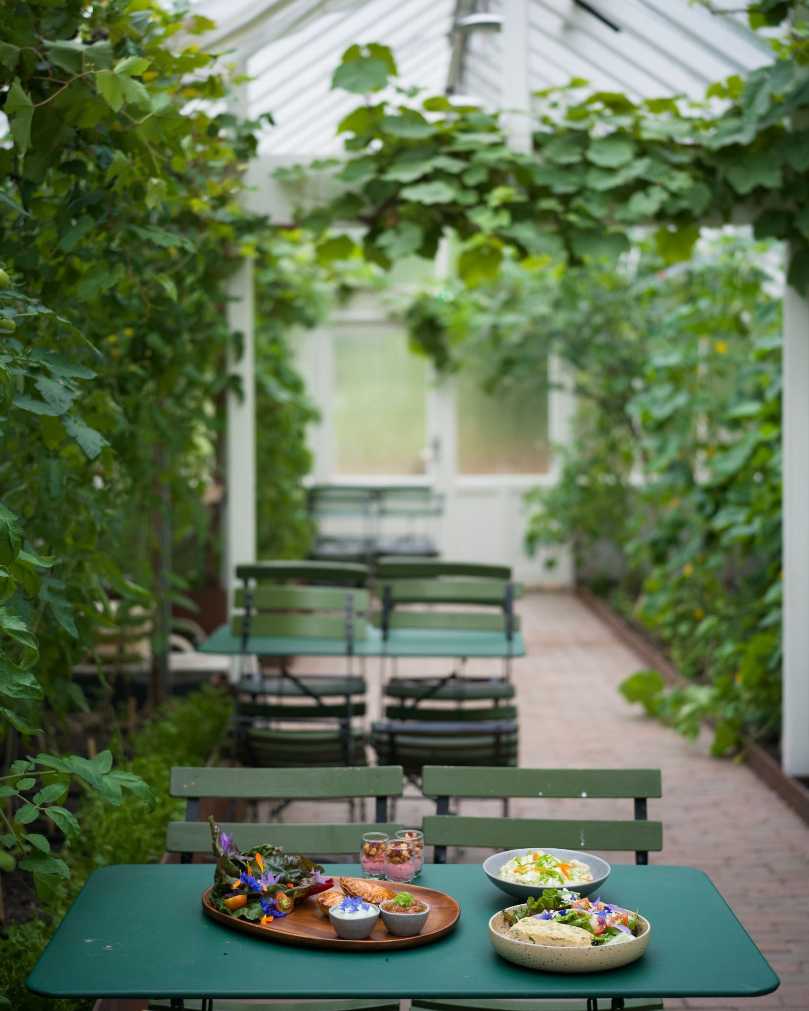 Langt trebord dekket for et måltid inne i et drivhus, omgitt av planter og sollys.