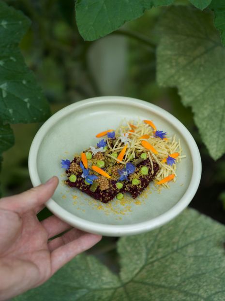 Bogstad Gård sett fra luften, omgitt av grønne trær og park. 