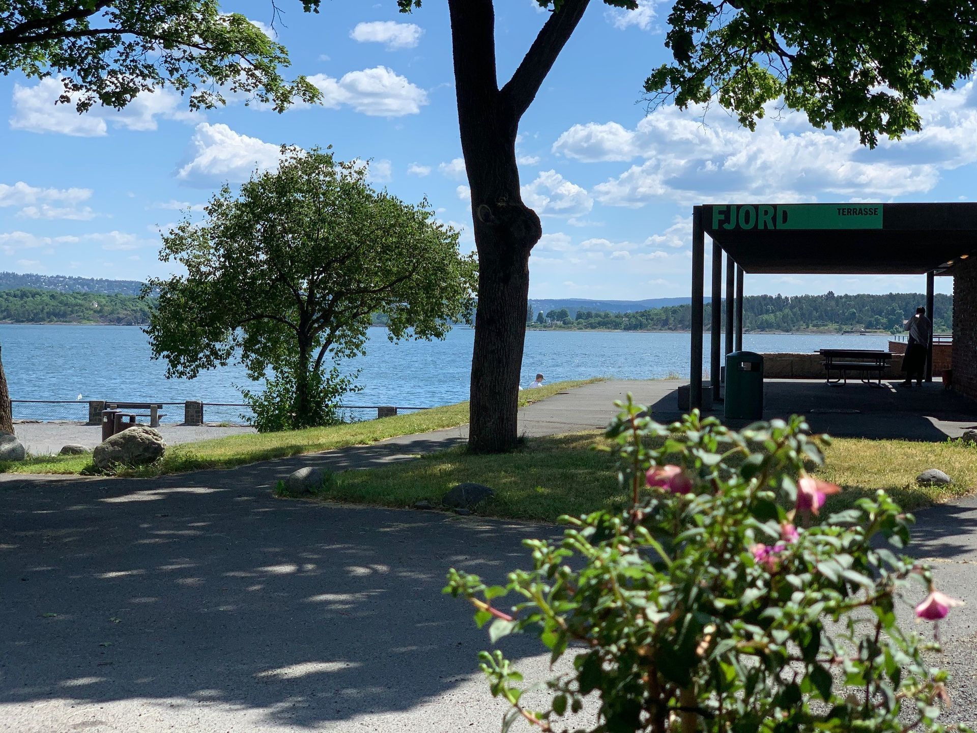 Utsikt over innsjøen med blått vann, grønne trær, et lite ly og en solrik himmel.