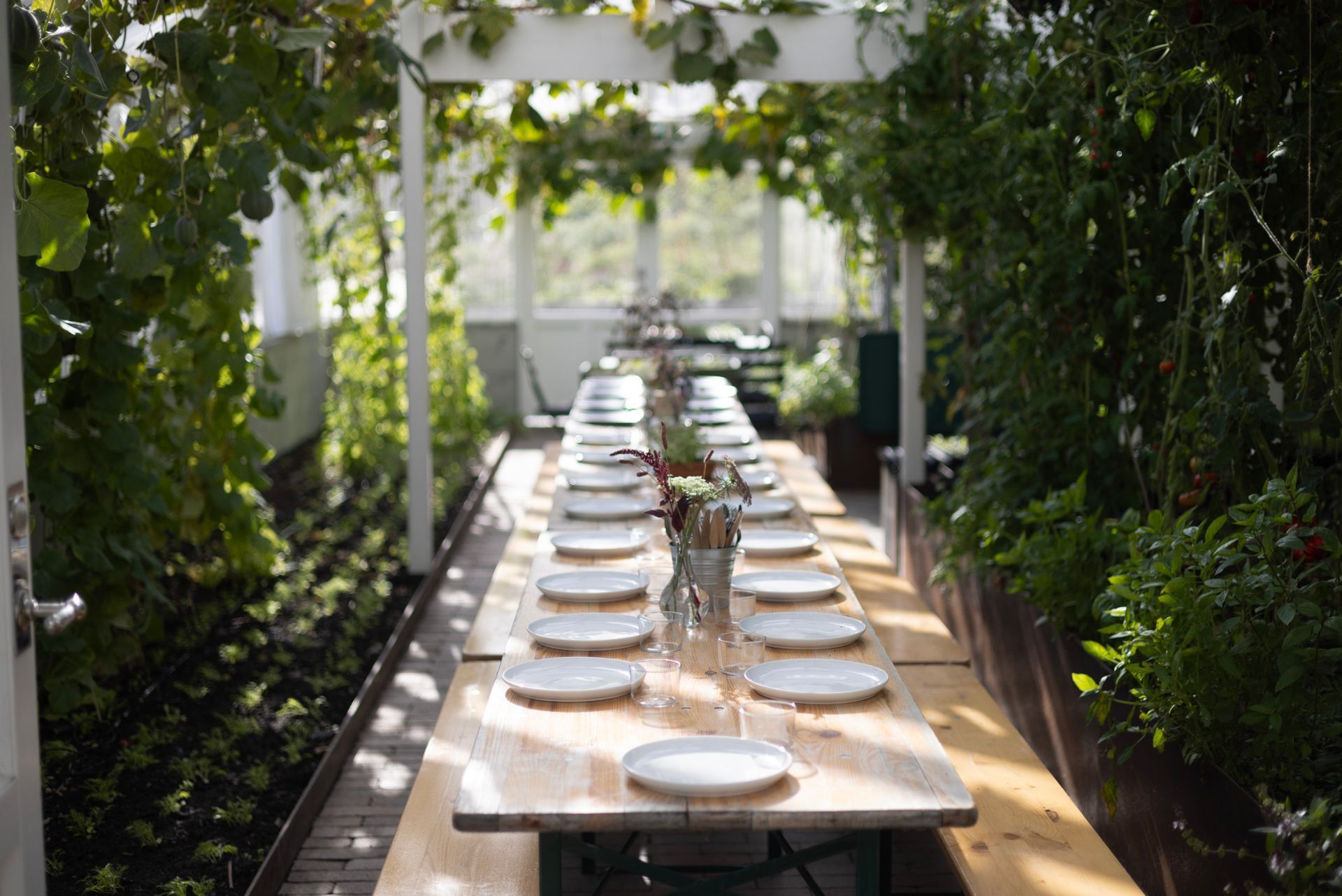 Langt trebord dekket for et måltid inne i et drivhus, omgitt av planter og sollys.