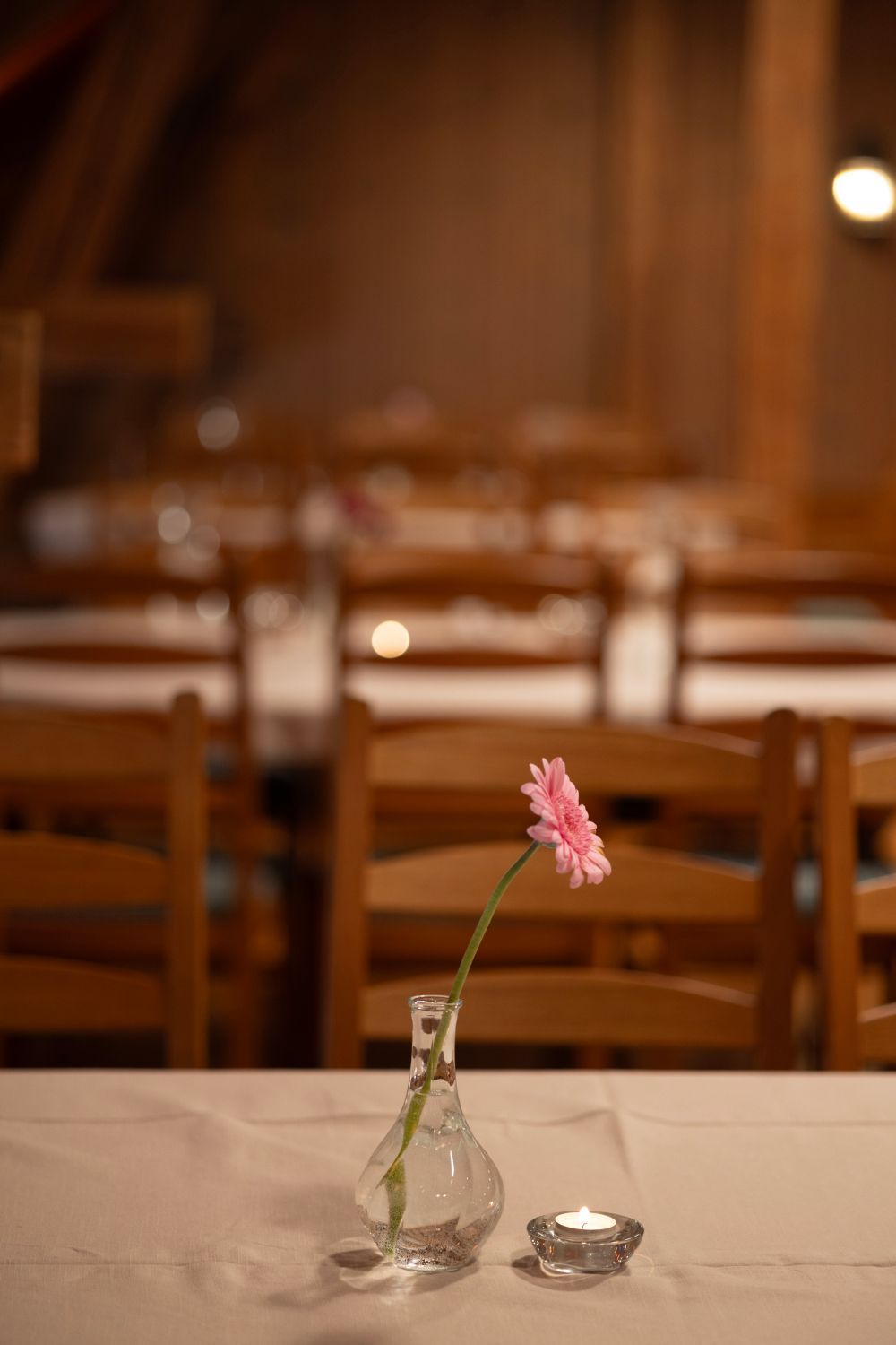 Rosa gerbera-tusenfryd i en liten vase på en hvit duk; stoler og bord i bakgrunnen.