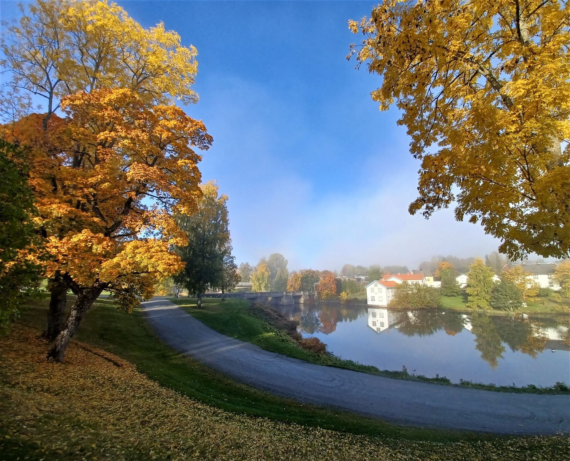 Høsttrær med gule blader rammer inn en stille innsjø som reflekterer en disig himmel og bygninger.