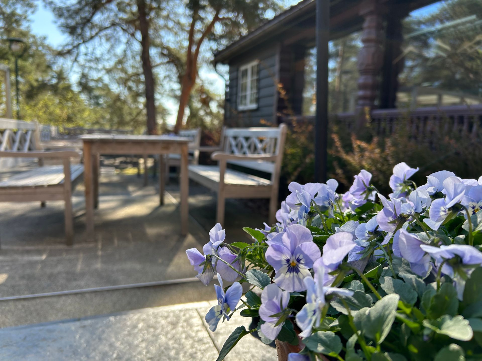 Gårdsplassen på Gjestestuene på Norsk Folkemuseum