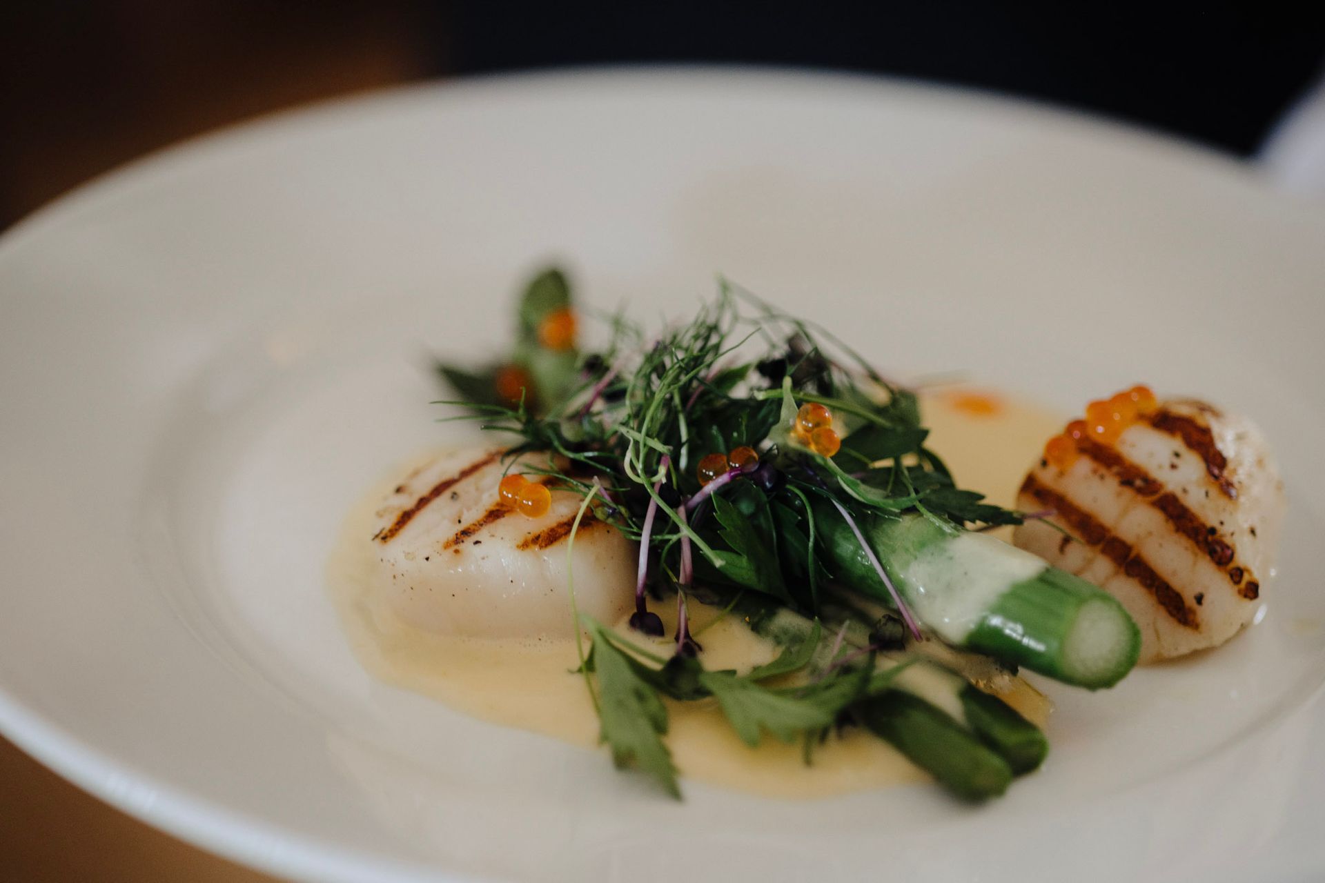 Grillede kamskjell med asparges og mikrogrønnsaker på en hvit tallerken.