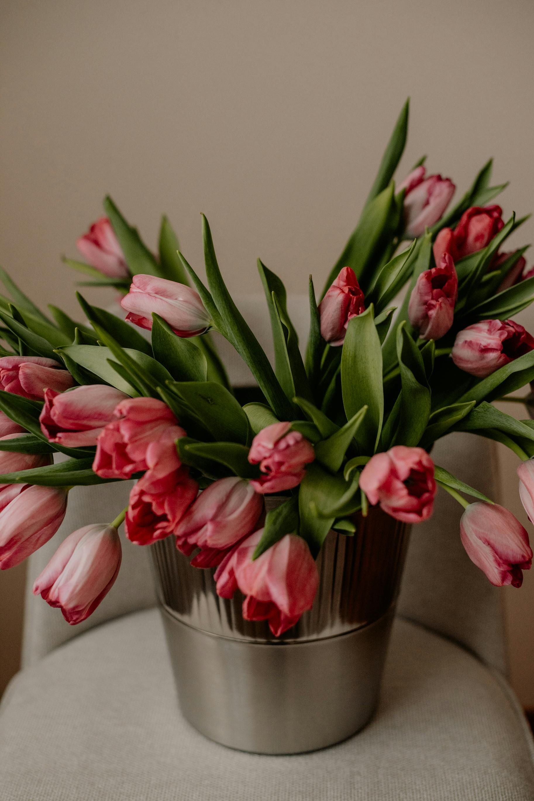 Rosa tulipaner i en sølvfarget bøtte på en grå stol.