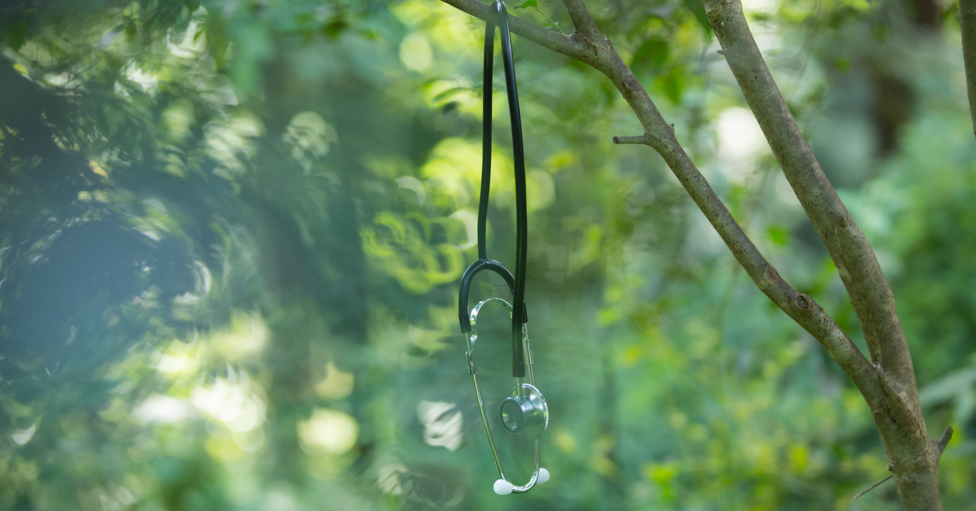 chiropractor-nature-tree