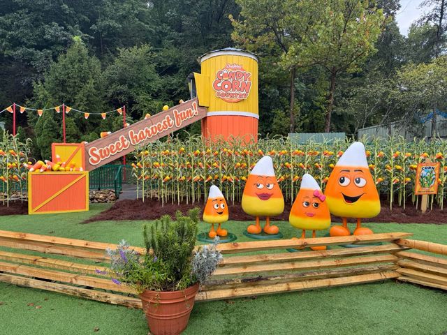 Visit Dollywood For The 2025 Fall Festival
