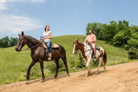 Two people riding horses on a dirt trail beside a grassy hill under a blue sky