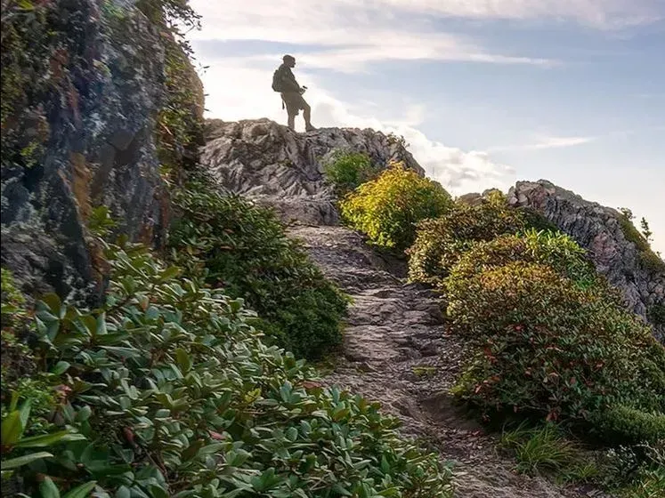 A lone hiker stands on a rocky mountain path surrounded by green bushes under a bright, cloudy sky.