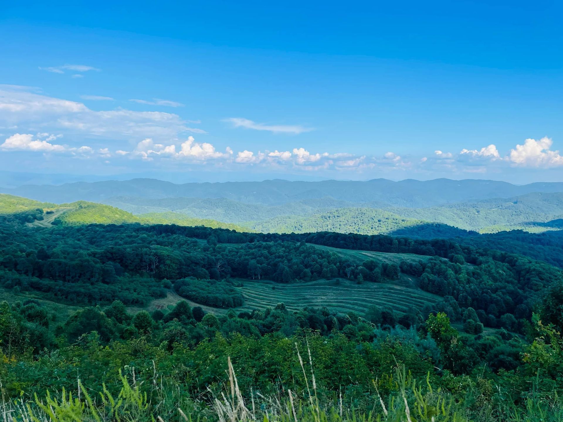 Hike Max Patch In Pisgah National Forest