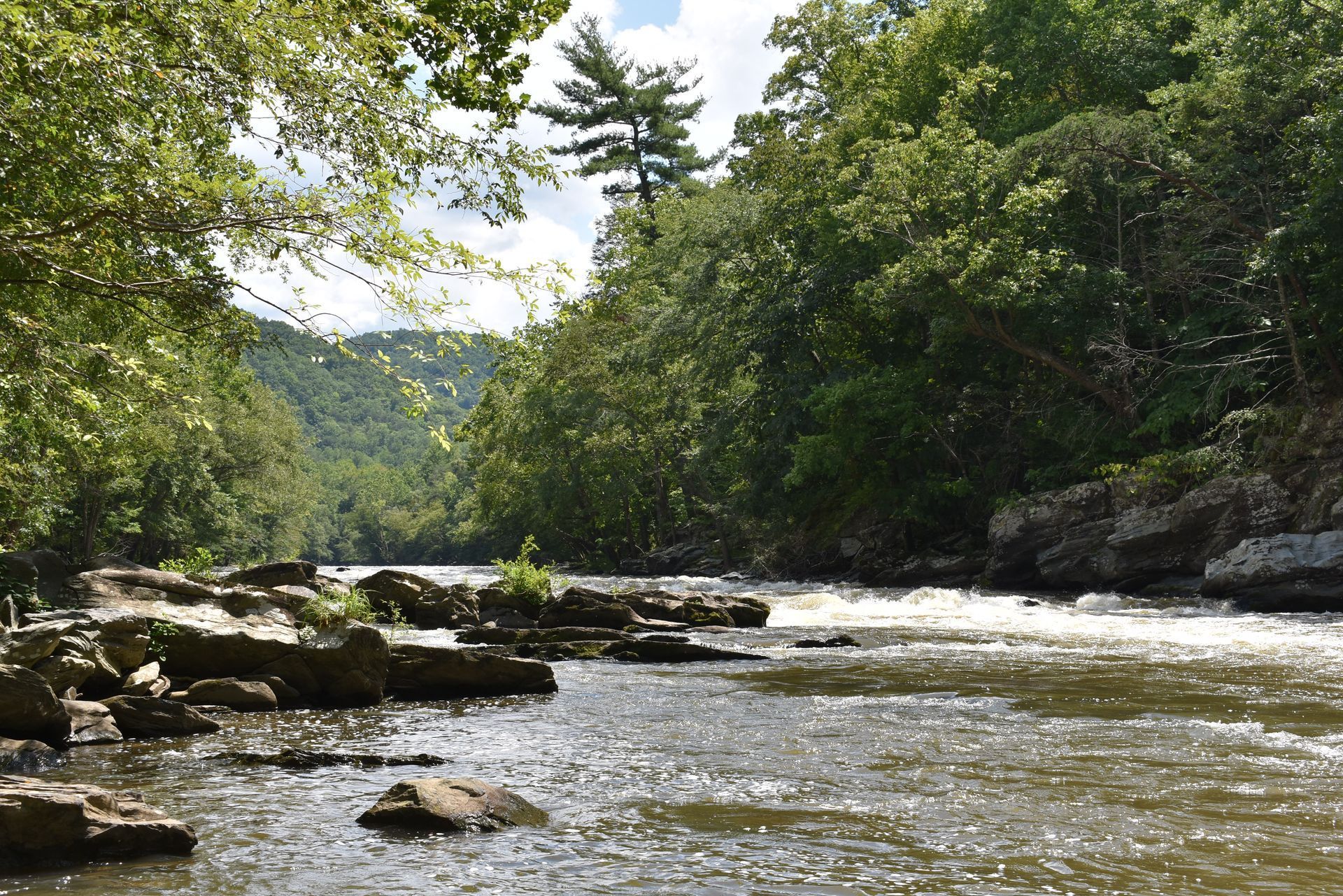 Fishing In The Smokies