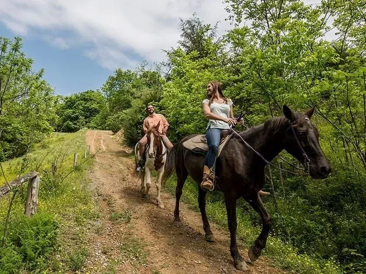 Two people riding horses along a sunny, dirt path lined with green trees and foliage.
