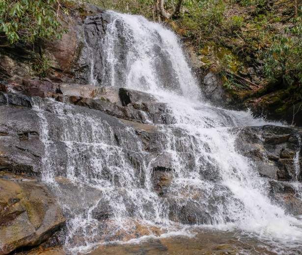A tiered waterfall cascades down dark, mossy rock faces surrounded by lush green forest foliage.