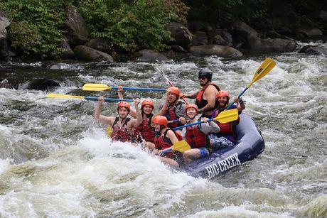 Group whitewater rafting in a blue raft, paddling through rough rapids near a rocky, forested riverbank