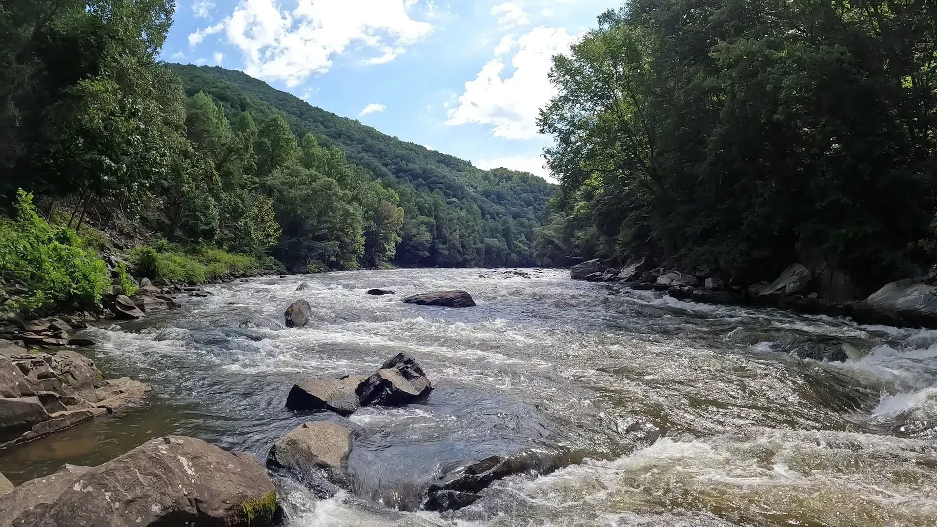 Rocky river flowing through a green forested valley under a bright blue sky.
