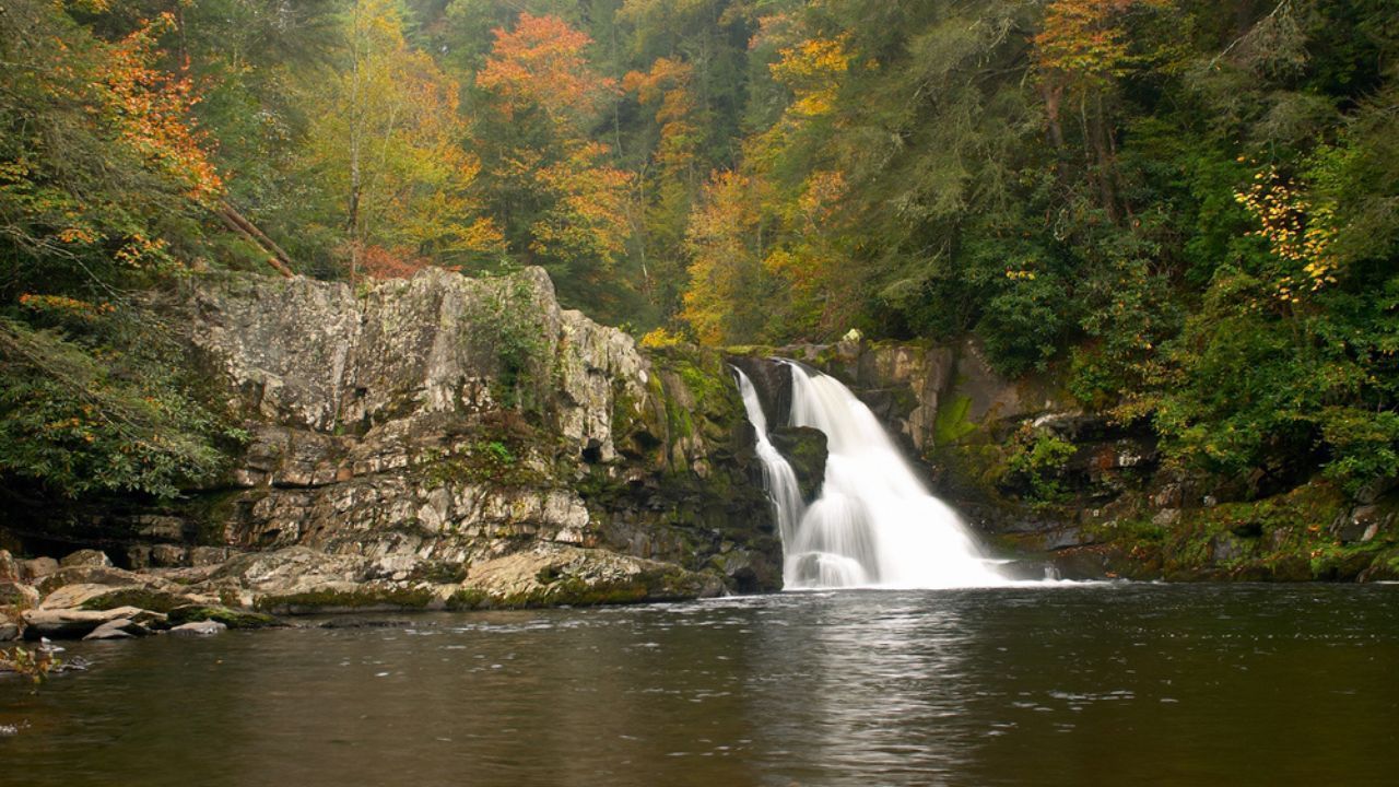 A waterfall flows into a calm pool surrounded by autumn-colored trees and a rugged rock face.