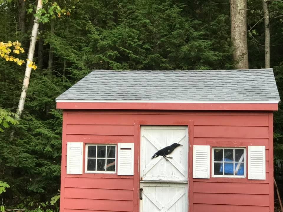 Plywood and roofing materials on a roof; a generator and a box sit on the wood.