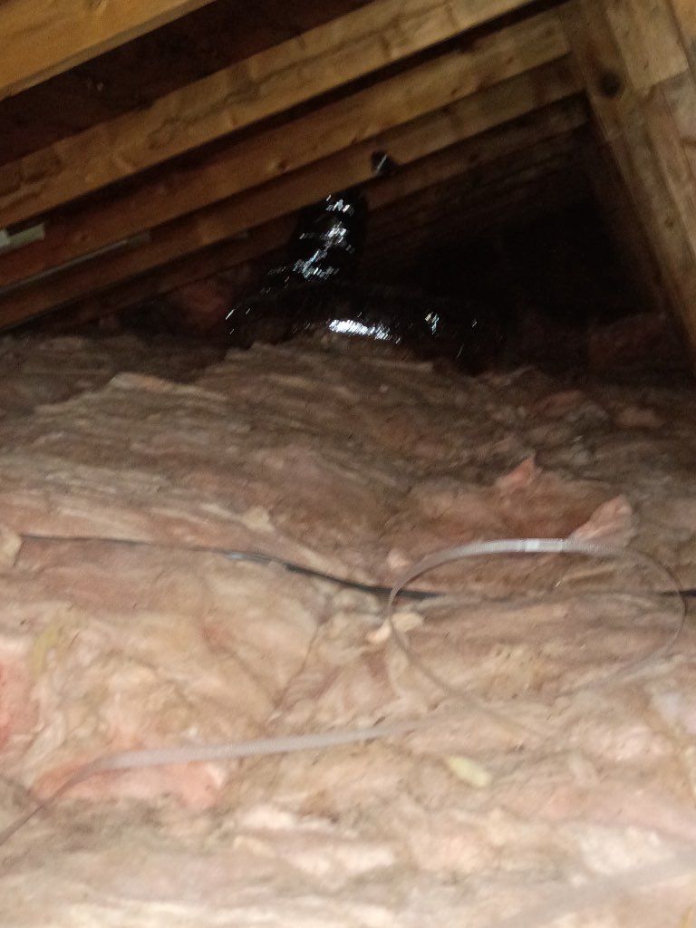 Insulated attic crawlspace with exposed wooden beams and a dark opening in the roof area