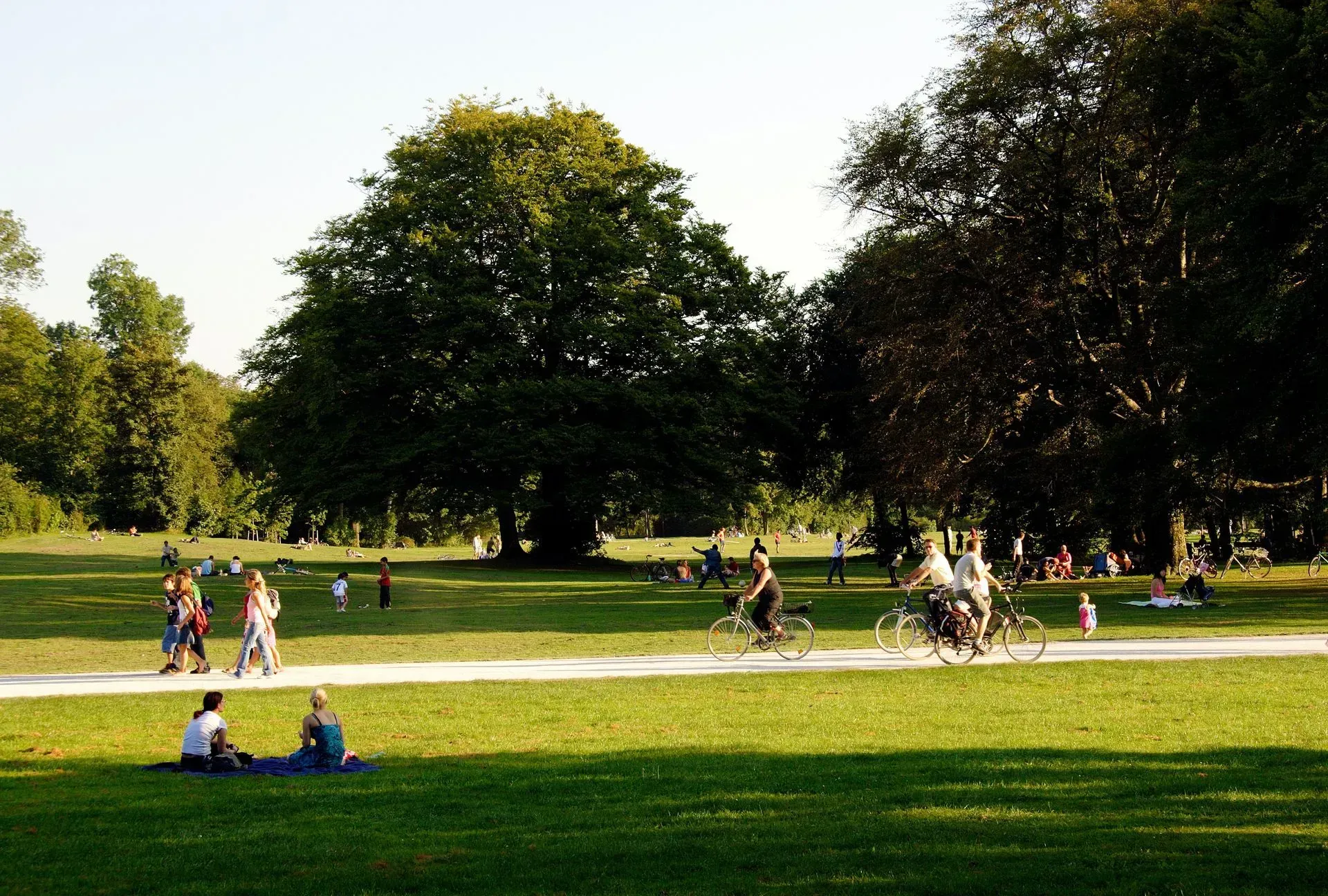 People in a park on a sunny day; some walking, biking, or relaxing on the grass under large trees.