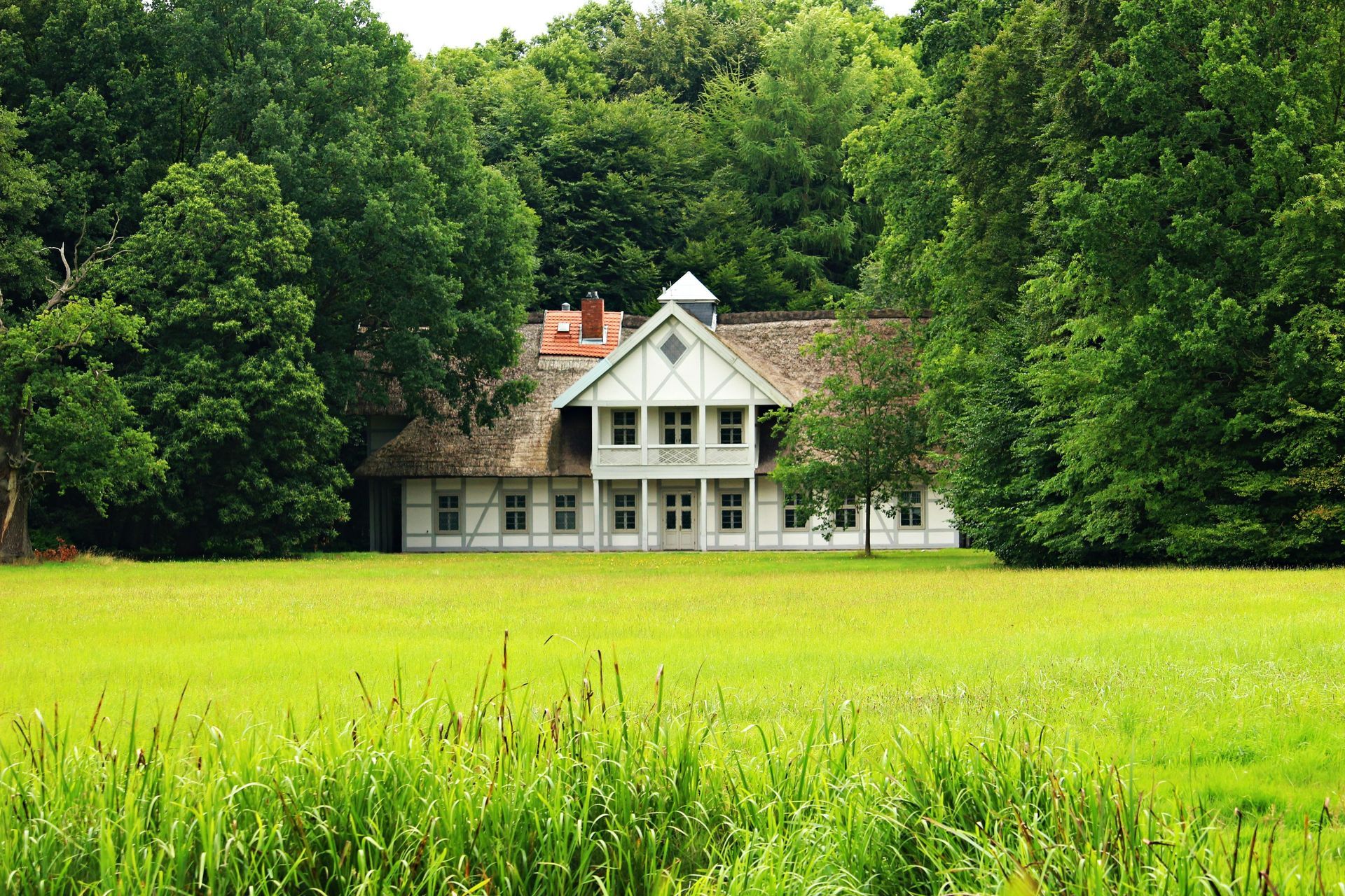 White cottage with a thatched roof nestled in a grassy field surrounded by trees.