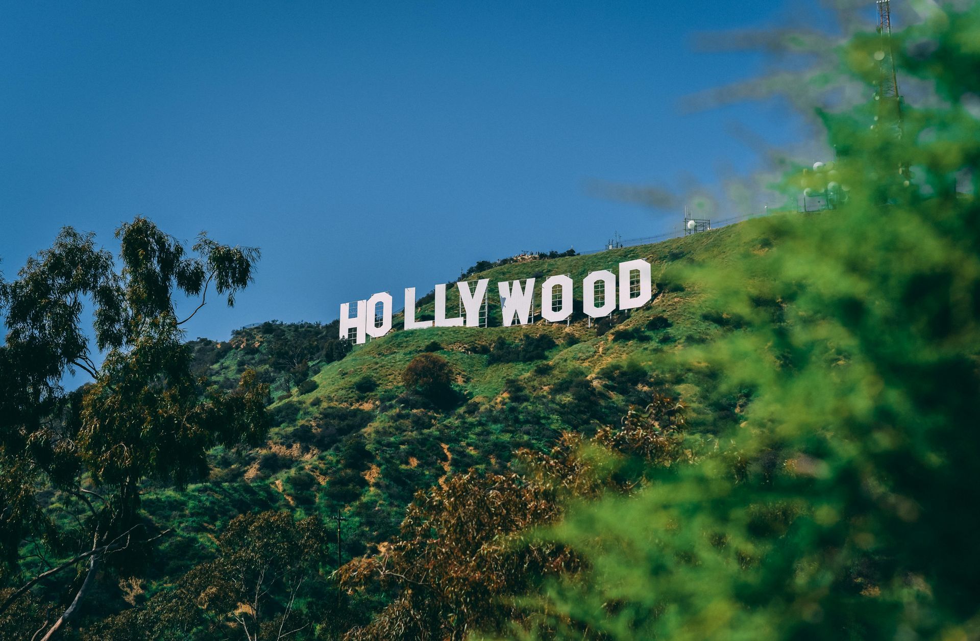 Hollywood sign on a green hillside under a bright blue sky.