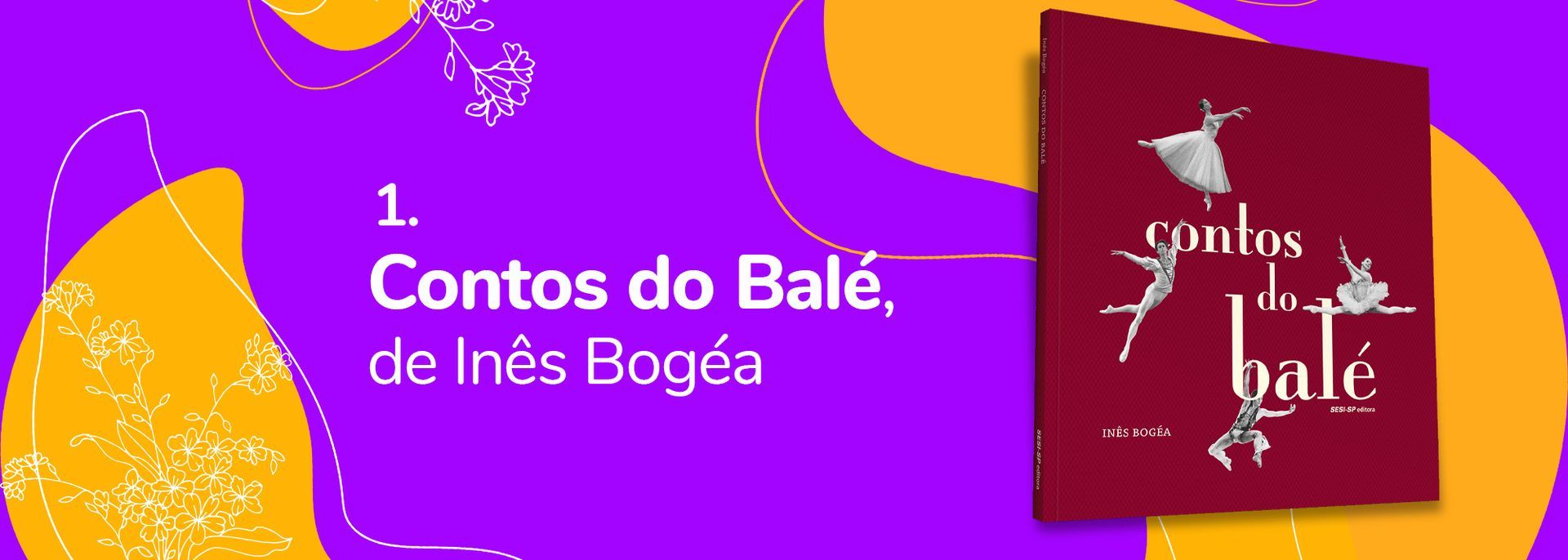 A picture of a book titled contos do balé de ines bogea