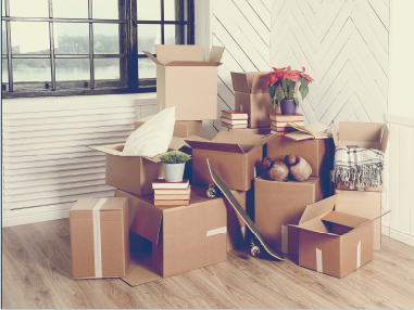 窗戶附近堆放著搬家用的紙箱，裡面還有植物和其他物品。