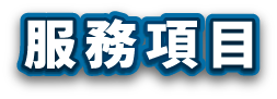 中文文字：“服務”，藍色輪廓，白色陰影。