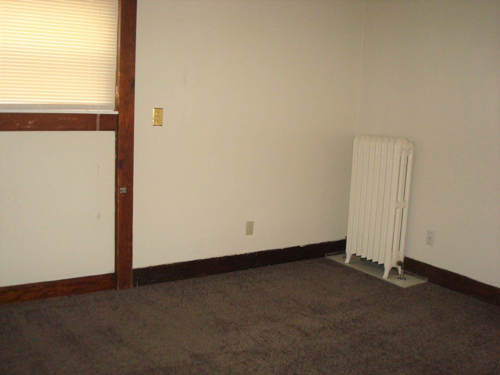 The Jungle Unit 1 bedroom