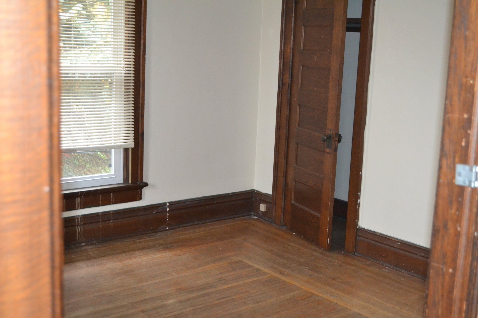 The Jungle Unit 4 bedroom