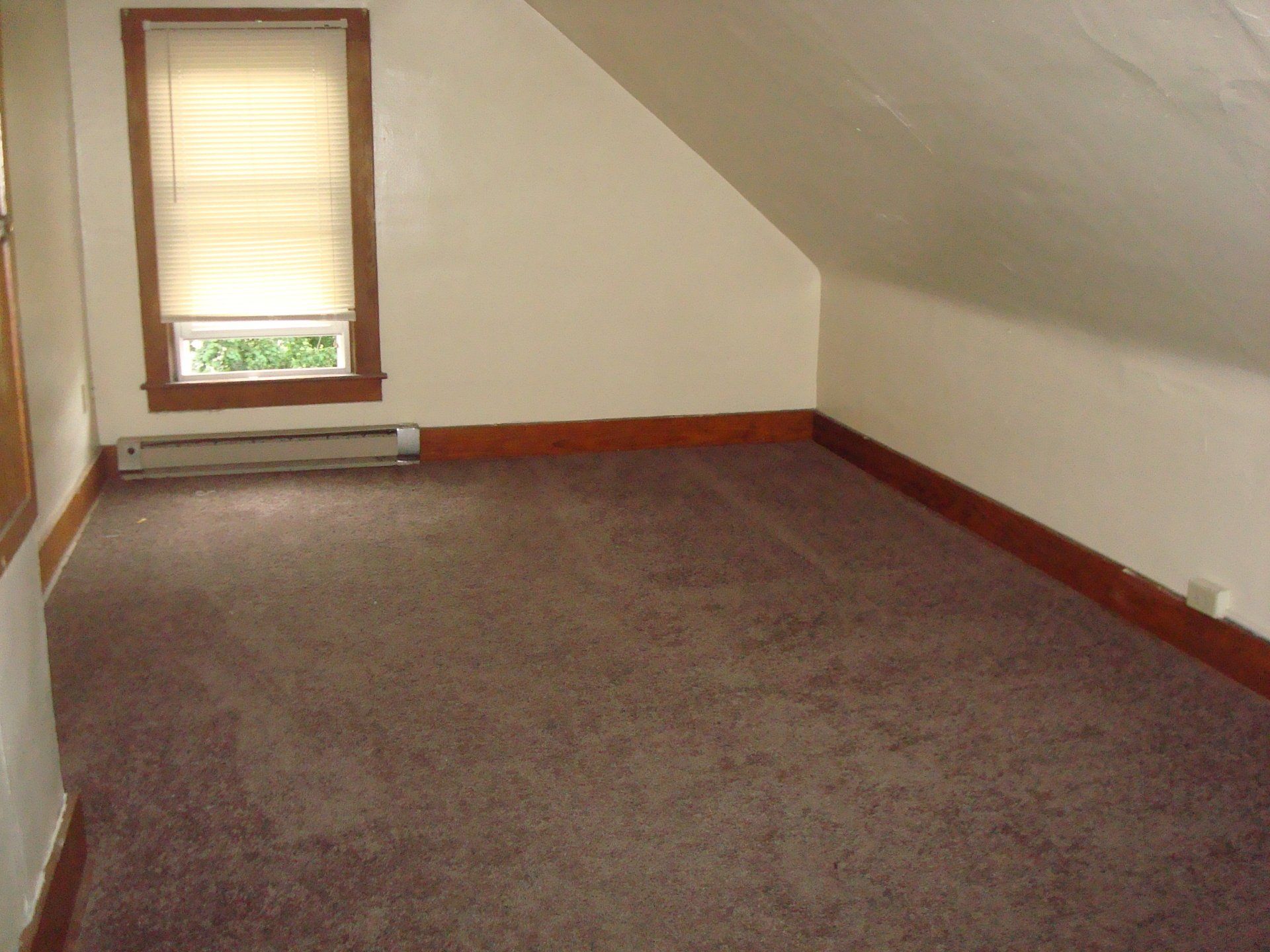 The Jungle Unit 5 bedroom