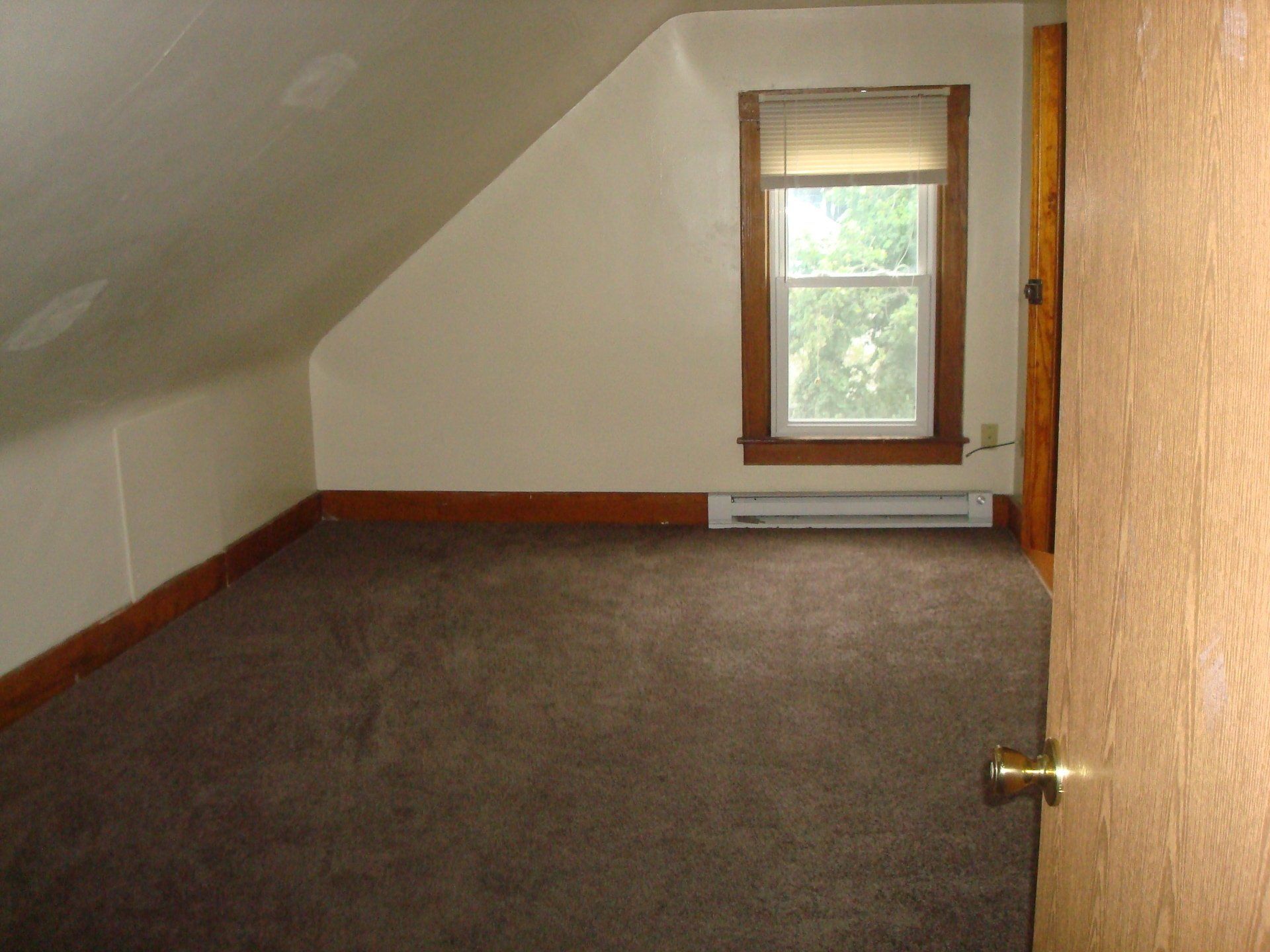 The Jungle Unit 5 bedroom