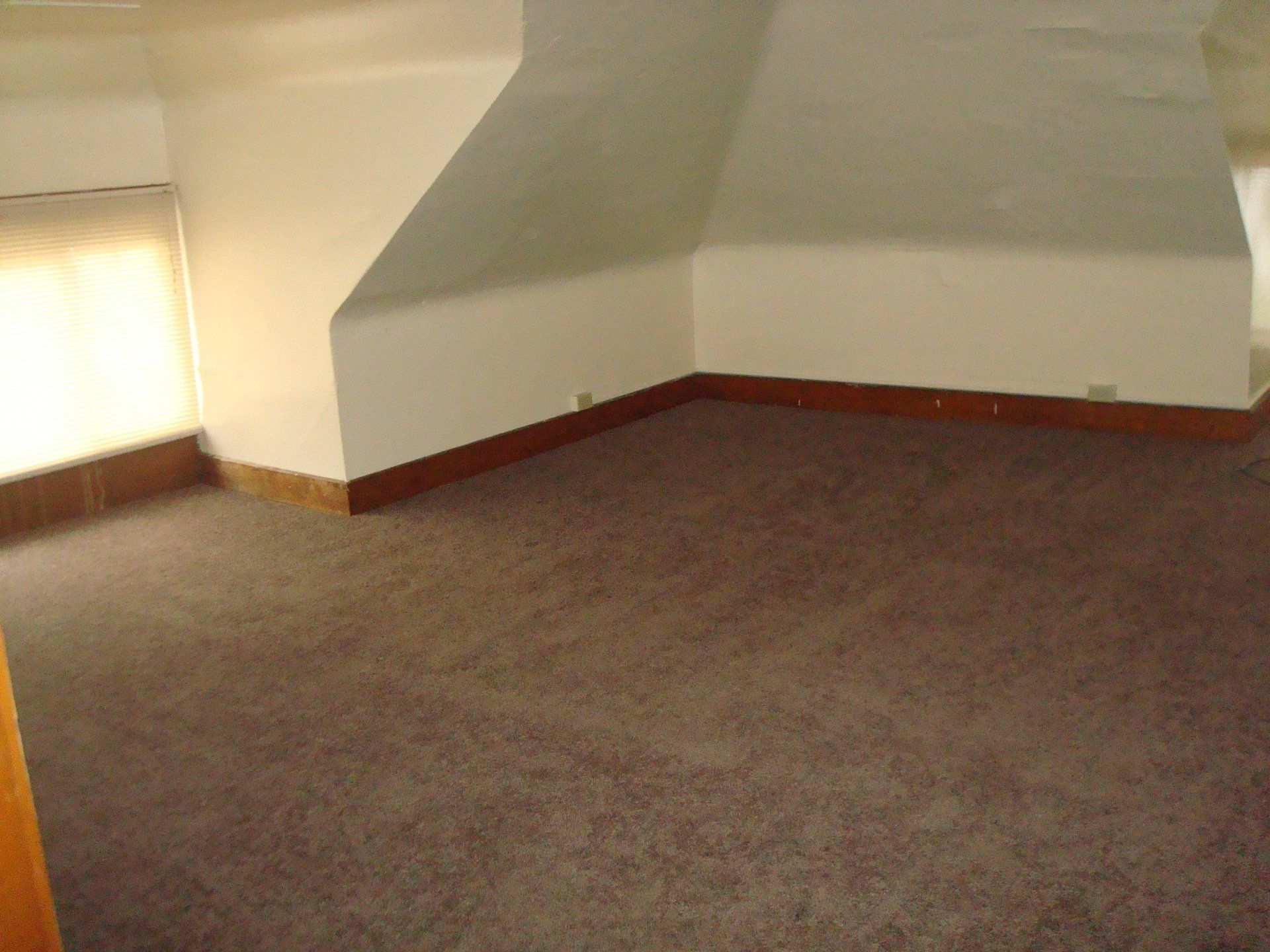 The Jungle Unit 5 living room