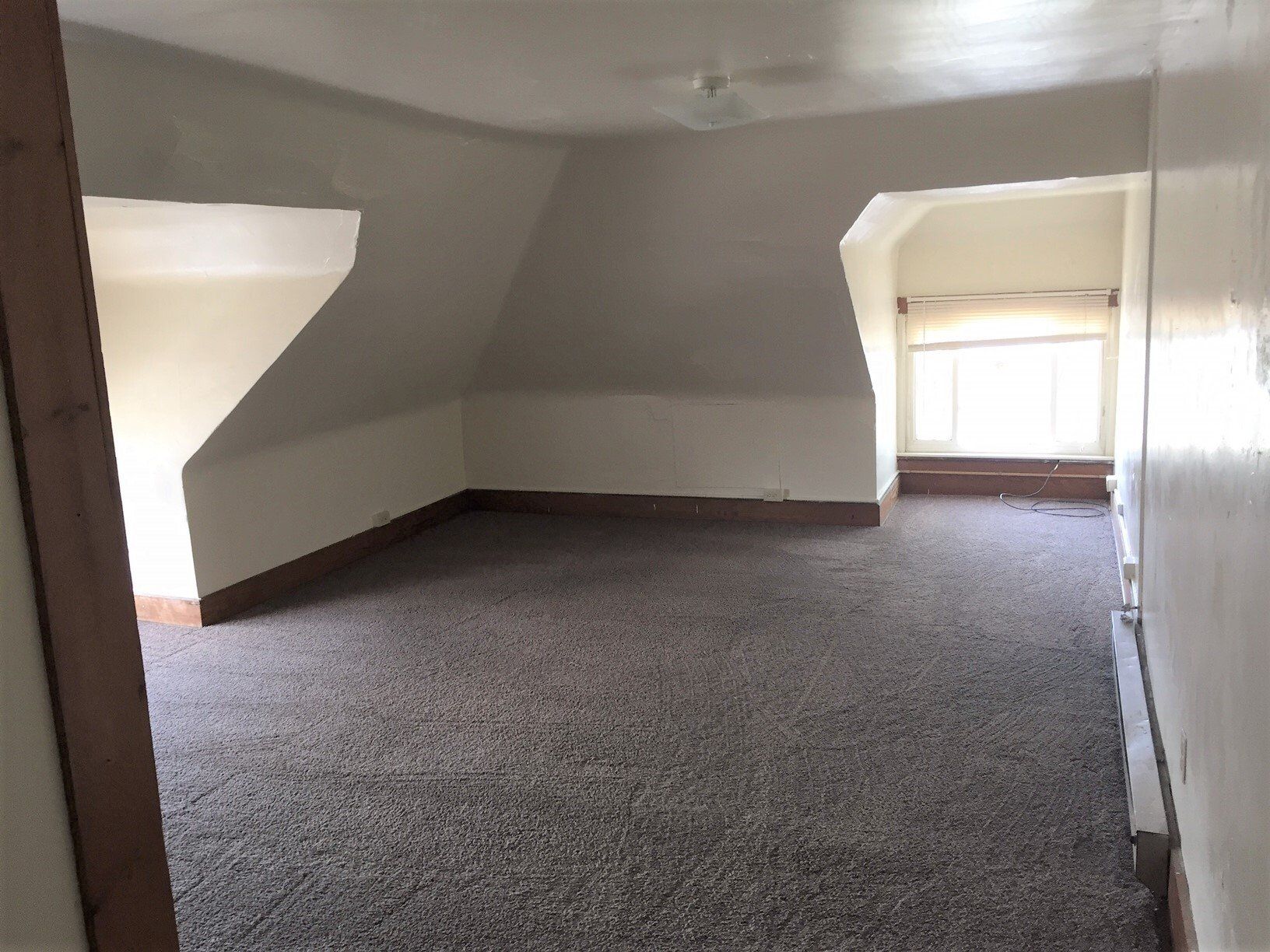 The Jungle Unit 5 living room