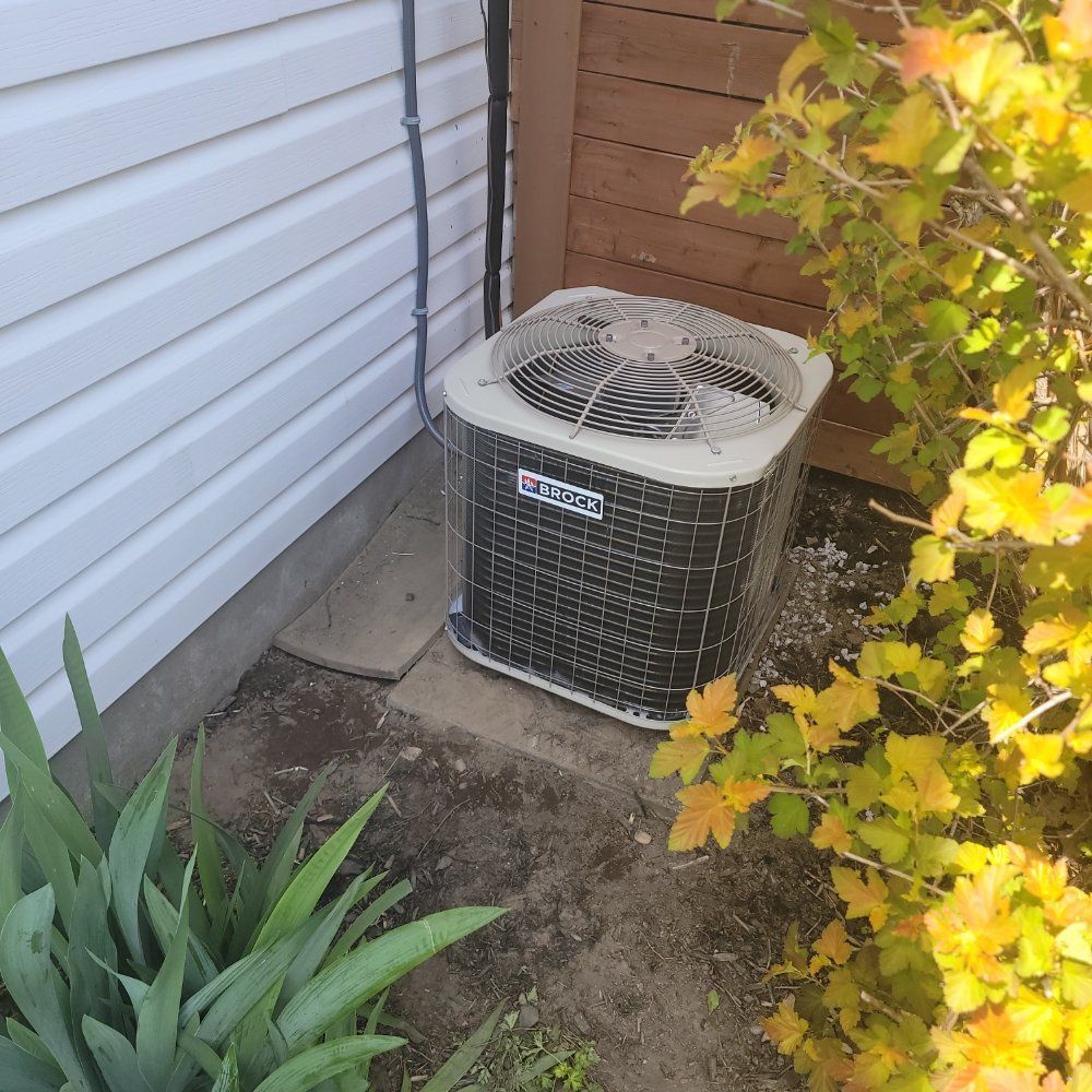 Air conditioning unit outside a building, surrounded by plants and gravel.