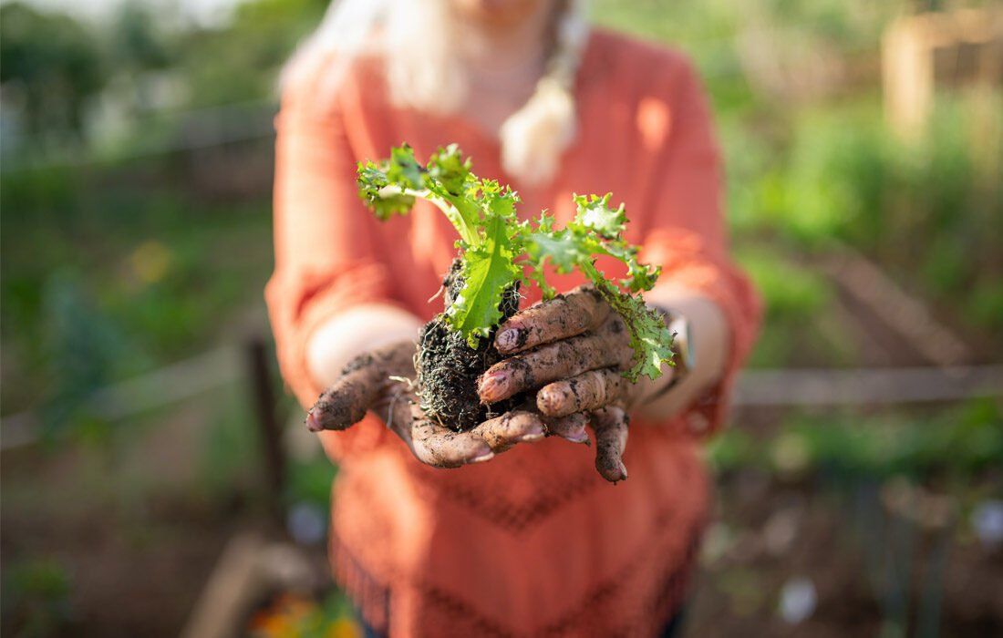 A Woman Hold Hands On Plant — Financial Advisor in Kingscliff, NSW