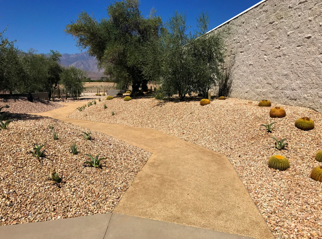 Sendero de tierra compactada  que atraviesa una zona boscosa, de color marrón con un borde de grava.