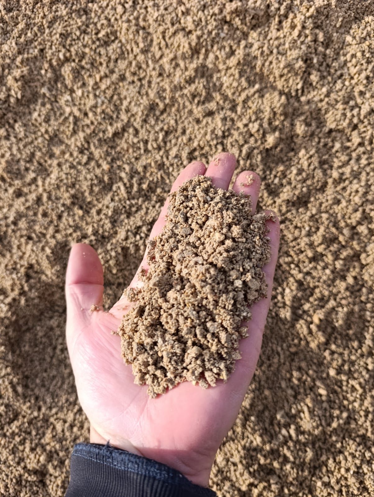 Un sendero sinuoso que atraviesa un jardín con una valla de madera y diversas plantas.