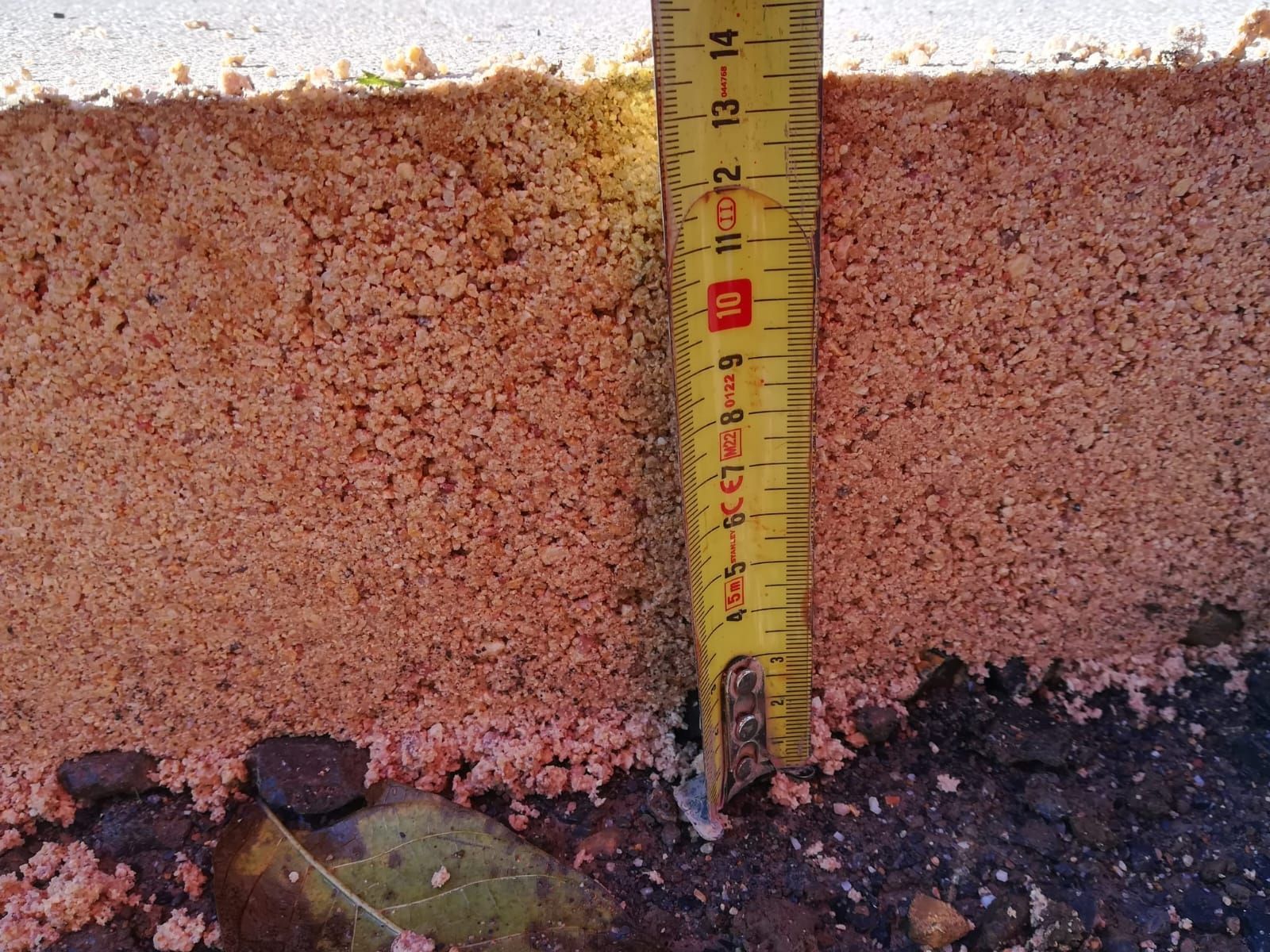 Un sendero sinuoso que atraviesa un jardín con una valla de madera y diversas plantas.