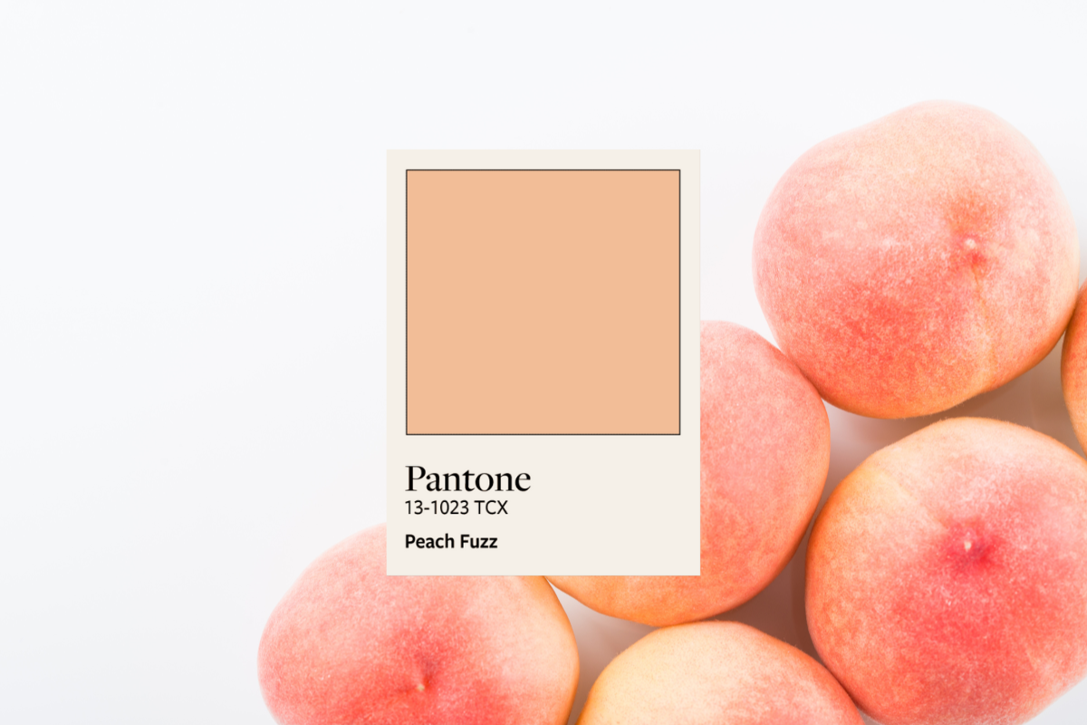 pantone color of the year in 2024